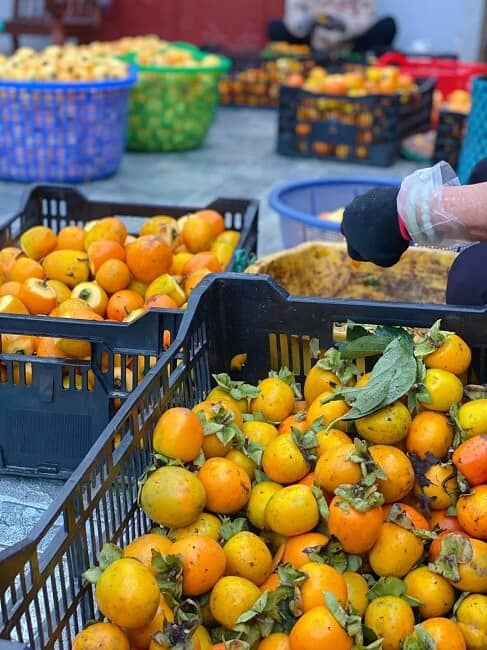 Thứ quả quê mùa được "biến tấu” thành đặc sản vạn người mê có giá nửa triệu đồng/kg