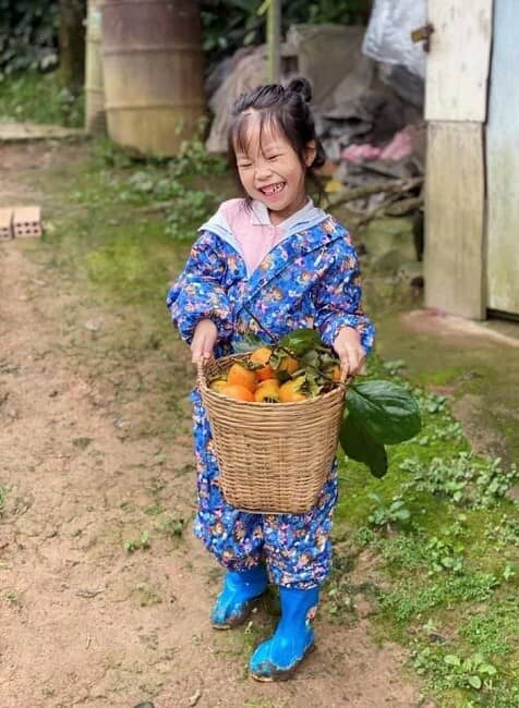 Thứ quả quê mùa được "biến tấu” thành đặc sản vạn người mê có giá nửa triệu đồng/kg