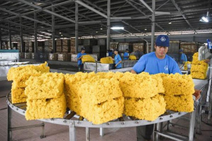 Cách nào để sản phẩm cao su Việt thâm nhập thị trường Châu Âu?