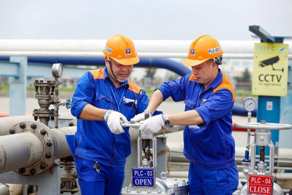 Hoá dầu Petrolimex (PLC) bị truy thu thuế 860 triệu đồng