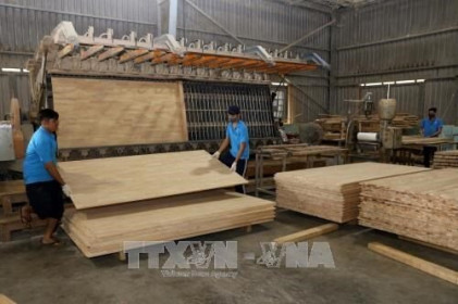 Hiệp định VPA-FLEGT: Thực hành thương mại gỗ và sản phẩm gỗ có trách nhiệm