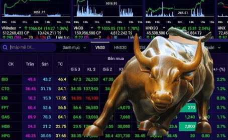 Chứng khoán Việt sẽ tiếp tục thăng hoa vào năm 2021?