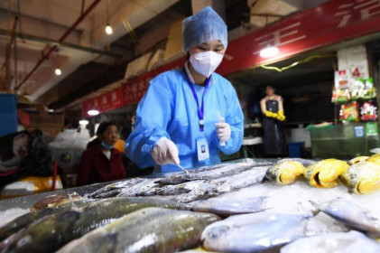 Chuyên gia Trung Quốc kêu gọi điều tra lây lan Covid-19 qua thực phẩm đông lạnh