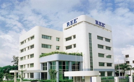 Tổ chức Singapore tiếp tục gom cổ phiếu REE