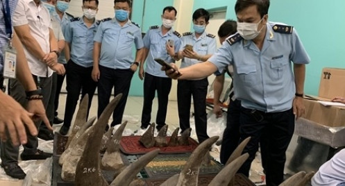 Gần 1 tạ sừng nghi tê giác được thu giữ tại Sân bay Tân Sơn Nhất