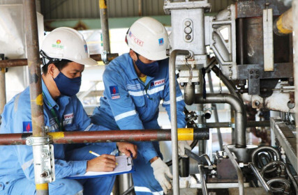 Cổ phiếu cần quan tâm ngày 24/12: DCM, DPG, REE