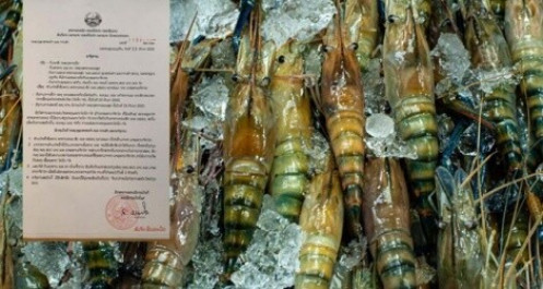 Lào cấm nhập khẩu hải sản từ Thái Lan sau khi bùng phát dịch mới