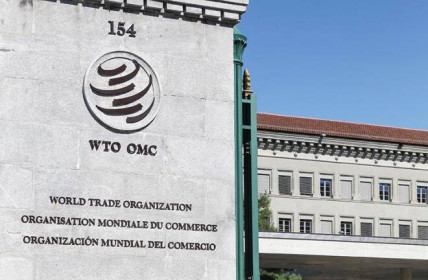 Ấn Độ kêu gọi WTO có cơ chế đặc biệt sản xuất đủ vaccine cho toàn cầu