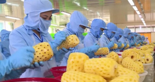 Xuất khẩu thực phẩm sang Hàn Quốc vẫn "dính" lỗi về an toàn thực phẩm