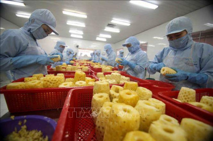 Nông sản Việt rộng đường sang Vương quốc Anh nhờ UKVFTA