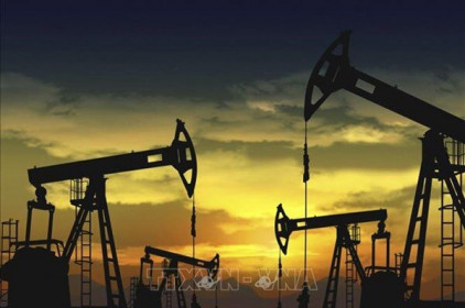 Các công ty lọc dầu hàng đầu Hàn Quốc lỗ gần 5 tỷ USD vì COVID-19 trong năm 2020