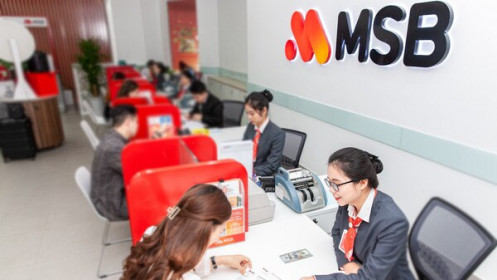 MSB ước lãi hơn 2.500 tỷ đồng, dự kiến chia cổ tức tối thiểu 15%