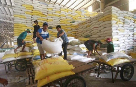 Xuất khẩu gạo của Việt Nam trong năm 2020 vượt 6,1 triệu tấn
