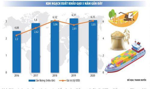 Xuất khẩu gạo đạt trên 3 tỷ USD, đà tăng lớn vẫn còn
