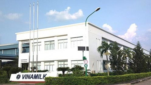 Vinamilk có thêm một nhà máy được xuất khẩu sữa sang Trung Quốc