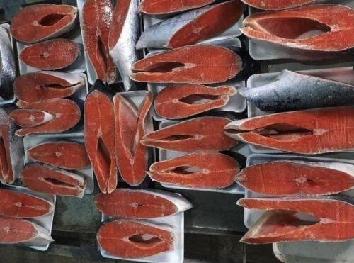 Giá cá hồi Sa Pa giảm sâu, dân buôn ồ ạt "bán tháo" trên chợ mạng