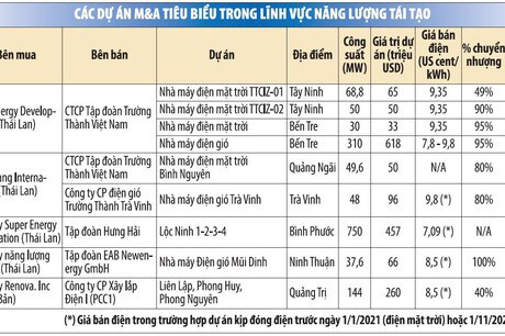 Vốn FDI vào ngành năng lượng tái tạo tăng 38 lần trong 5 năm