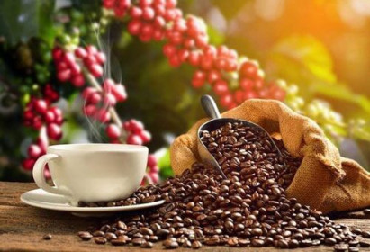Đầu năm 2021, xuất khẩu cà phê đón nhiều tin vui