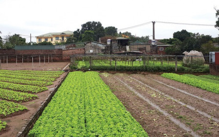 Giá đất nông nghiệp vùng ven Hà Nội tăng chục lần