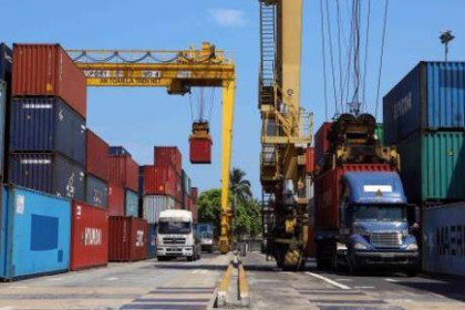 Thiếu container xuất khẩu, doanh nghiệp buộc phải từ chối đơn hàng