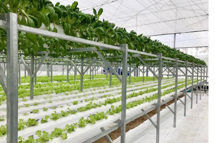 Đài Loan đề xuất dự án khu nông nghiệp năng lượng xanh 2.500 ha tại Thanh Hóa