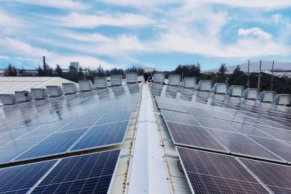 Đà Nẵng cho vay 80% tiền đầu tư dự án sử dụng năng lượng mặt trời