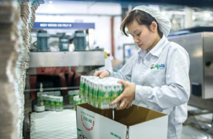 Mộc Châu Milk báo lãi tăng trưởng 68% sau hơn 1 tháng lên sàn, đạt 280 tỷ đồng
