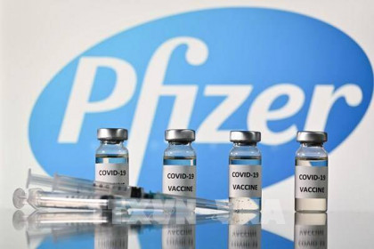 Italy cân nhắc kiện hãng Pfizer