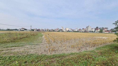 Rầm rộ rao bán đất nền tại dự án vẫn chỉ là đồng ruộng ở Bắc Ninh