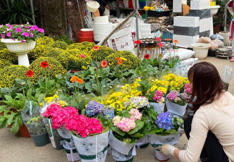 Nhộn nhịp chợ hoa Vạn Phúc (Hà Đông)
