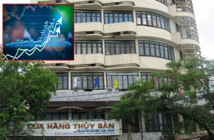 Xuất hiện cổ phiếu ‘lạ’: Phá trần 8 phiên, tăng hơn 200% nhưng giao dịch èo uột