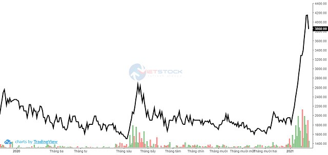 CIG: Doanh nghiệp lỗ kỷ lục, cổ phiếu tăng giá gấp đôi