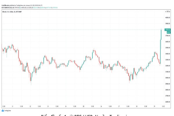 Elon Musk đã khiến giá bitcoin tăng chóng mặt