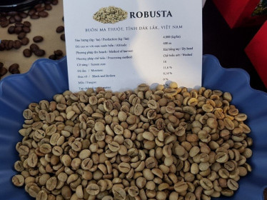 Giá cà phê hôm nay 31/1: Giá robusta tăng cầm chừng, thị trường cần một cú hích