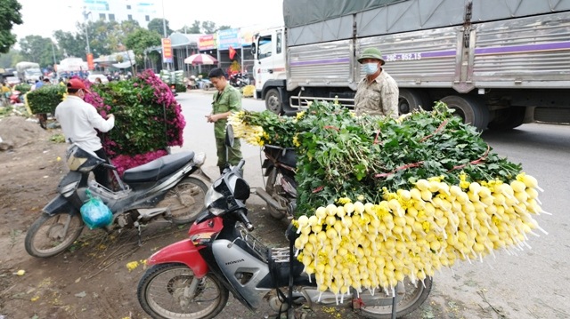[Ảnh] Vắng người mua, giá hoa Tết tại huyện Mê Linh giảm gần 50%