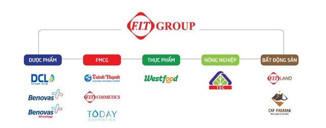 FIT Group: 2021 là năm gặt hái thành quả của quá trình tái cấu trúc