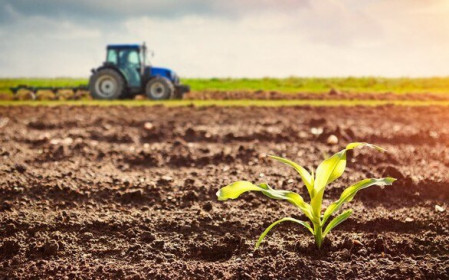 Năm 2021, bị thu hồi đất nông nghiệp có được tái định cư?