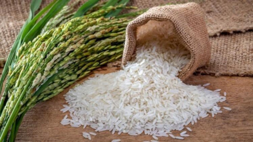 VDSC: Xuất khẩu gạo sẽ giảm trong năm 2021