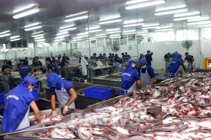 Thông tin mới nhất việc Campuchia ngừng nhập khẩu 4 loại cá da trơn từ Việt Nam