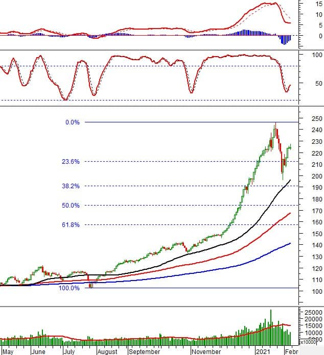 Vietstock Weekly 08-09/02/2021: Thử thách tại ngưỡng kháng cự ngắn hạn