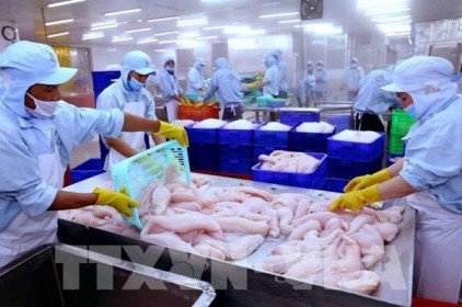 Đến năm 2030, giá trị xuất khẩu nông lâm thủy sản của Việt Nam đạt 62 tỷ USD
