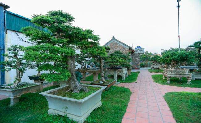 Choáng khi “lạc bước” vào những khu sân vườn bạc tỷ của đại gia Việt