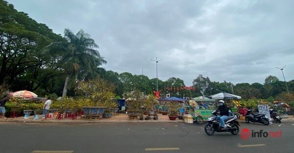 Đắk Lắk: Chiều 29 Tết chợ hoa vẫn vắng hiu hắt, tiểu thương 'khóc ròng'