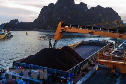 Bốc rót tấn than đầu tiên năm Tân Sửu 2021