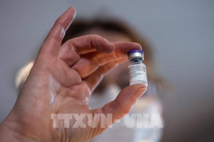 New Zealand dự kiến bắt đầu tiêm vaccine phòng COVID-19 trong tuần tới