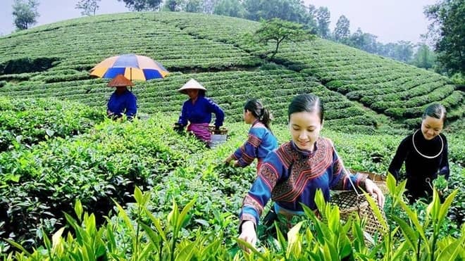 "Không thể một lần nữa chúng ta lại đi sau..."