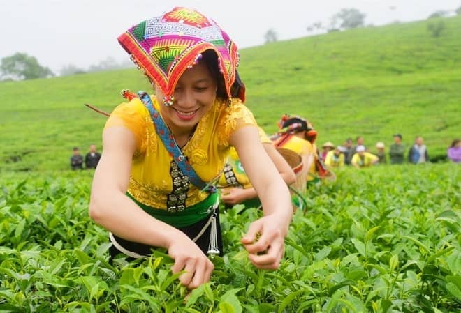 "Không thể một lần nữa chúng ta lại đi sau..."
