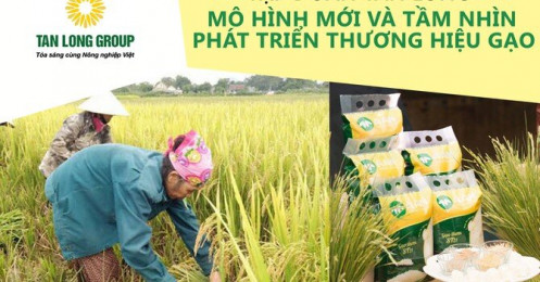 Tập đoàn Tân Long - Mô hình mới và tầm nhìn phát triển thương hiệu gạo
