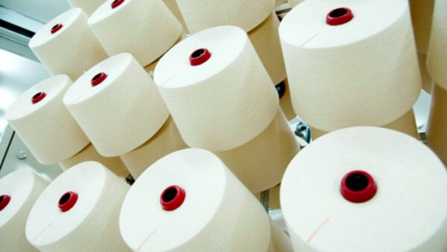 Ấn Độ mở phiên điều trần điều tra chống bán phá giá sợi polyeste Việt Nam