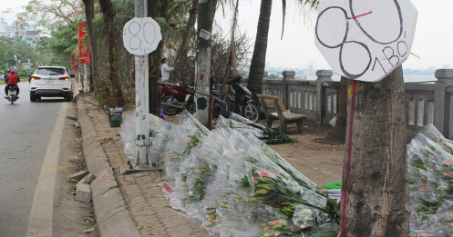 Hà Nội: Hoa tươi "đổ đống" đầy vỉa hè, nhà vườn bất lực nhìn giá "lao dốc"